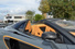 Gallery thumbnail 55