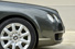Gallery thumbnail 19