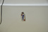 Gallery thumbnail 26