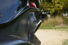 Gallery thumbnail 28