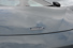 Gallery thumbnail 29