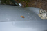 Gallery thumbnail 24