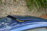 Gallery thumbnail 20