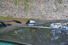 Gallery thumbnail 35