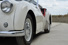 Gallery thumbnail 11