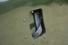 Gallery thumbnail 30
