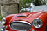 Gallery thumbnail 22