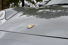 Gallery thumbnail 19