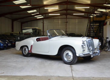 Daimler Conquest Roadster